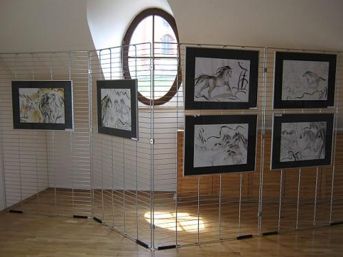 Dana Raunerová - kresby koňů